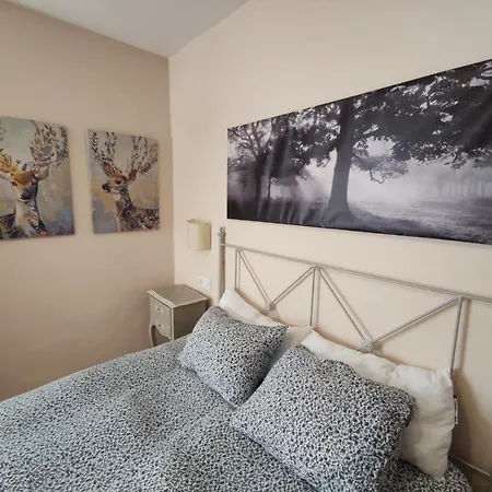 Mirador Ideal Parejas 아파트 *